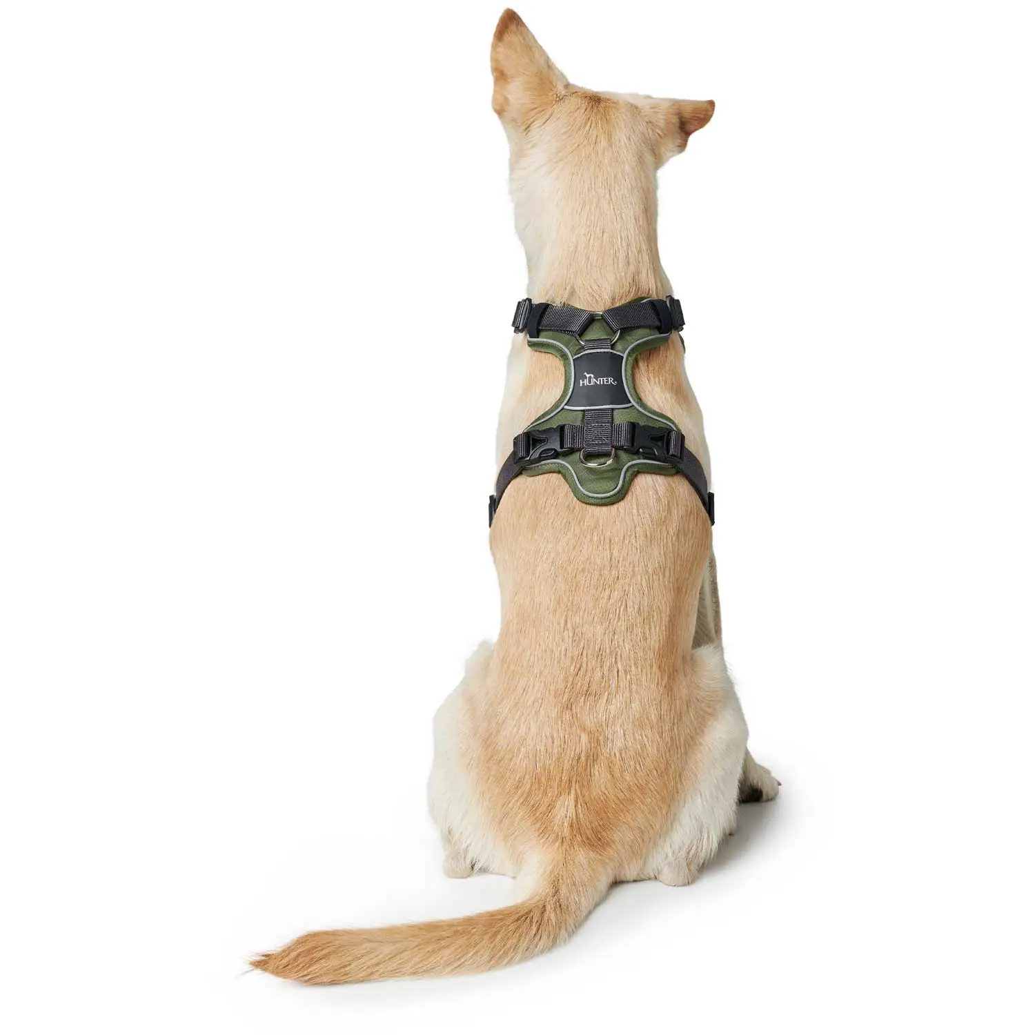Hunter Divo hundesele M grøn/grå just mave 56-73 cm - Stabil kontrol og komfort
